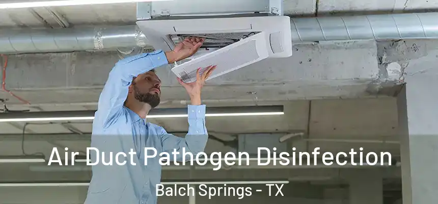 Air Duct Pathogen Disinfection Balch Springs - TX