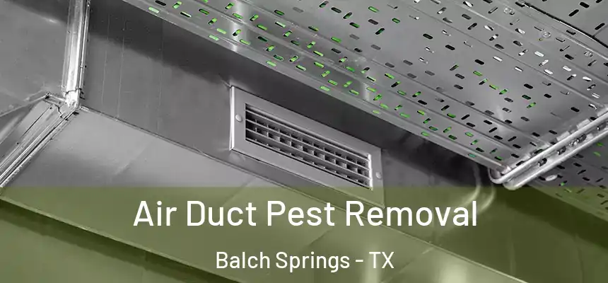  Air Duct Pest Removal Balch Springs - TX