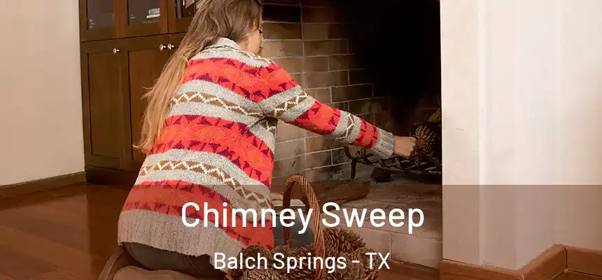  Chimney Sweep Balch Springs - TX