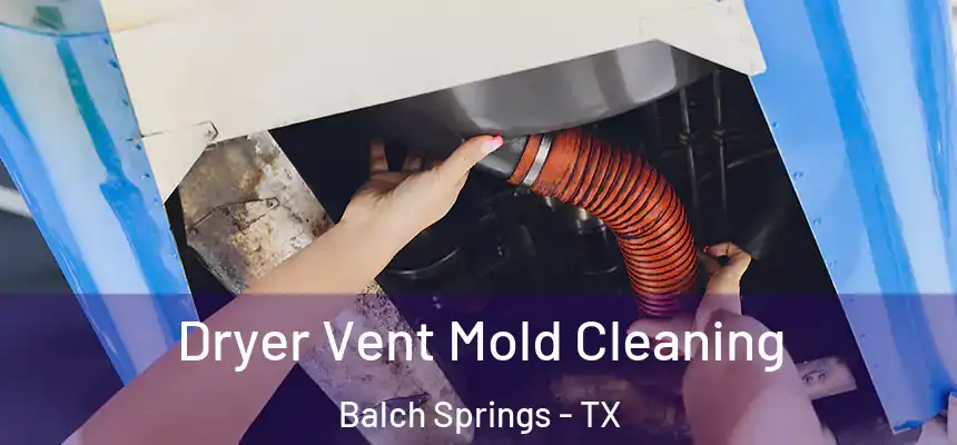  Dryer Vent Mold Cleaning Balch Springs - TX