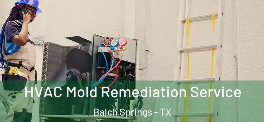  HVAC Mold Remediation Service Balch Springs - TX