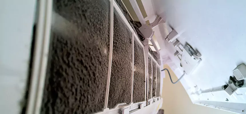 Preventive Air Duct Bacteria Removal in Balch Springs