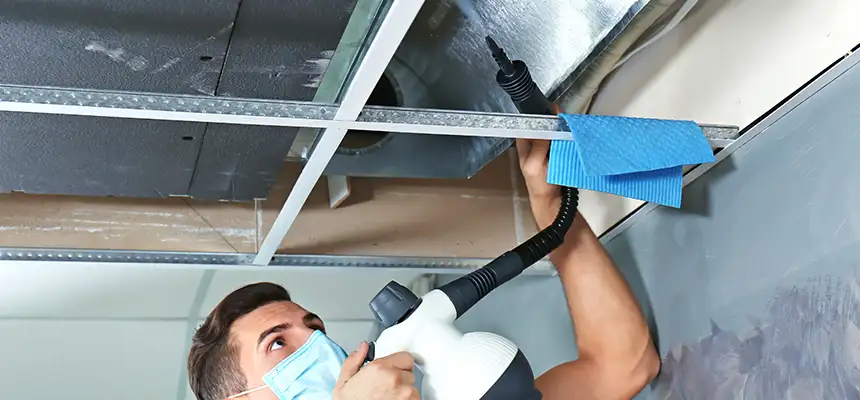 Our Air Duct Rodent Removal Services in Balch Springs, TX