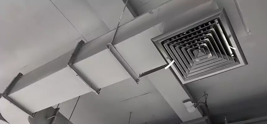 Restorative Allergy Relief Vent Cleaning – Coil, Blower & Housing Detail in Balch Springs