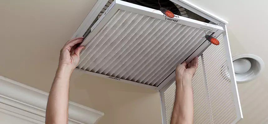 Our Insect Removal from Air Ducts Services in Balch Springs, TX