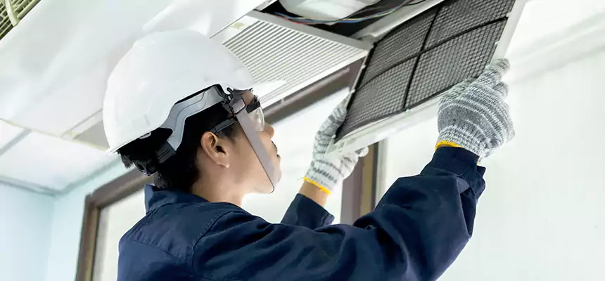 Our Mold & Mildew Removal from Air Ducts Services in Balch Springs, TX