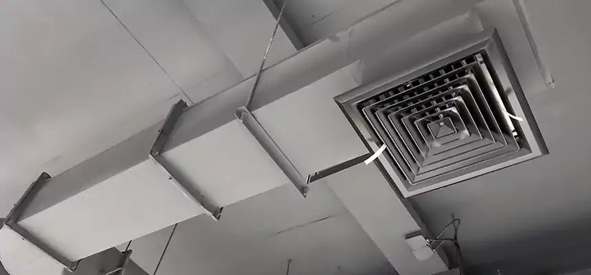 Our Pest Removal From Ducts Services in Balch Springs, TX