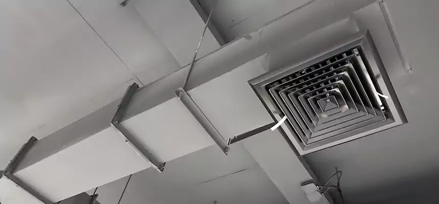 Our Rodent Droppings In Vents Services in Balch Springs, TX