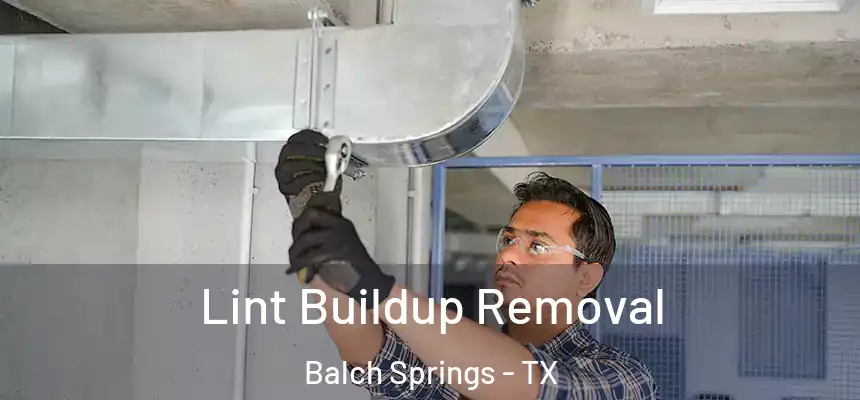  Lint Buildup Removal Balch Springs - TX