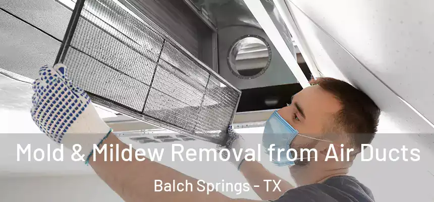  Mold & Mildew Removal from Air Ducts Balch Springs - TX