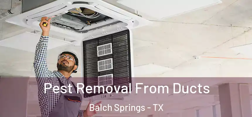  Pest Removal From Ducts Balch Springs - TX