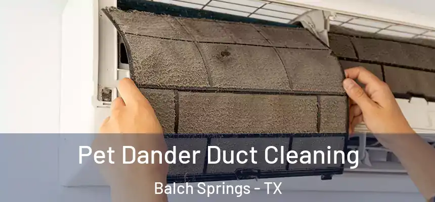  Pet Dander Duct Cleaning Balch Springs - TX