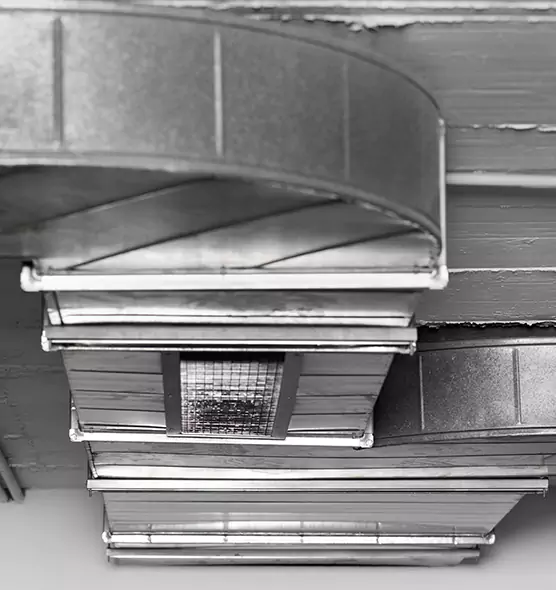 Professional Air Duct Pest Removal in Balch Springs, TX