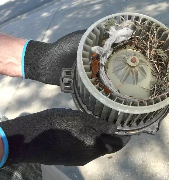 About Air Duct Rat Removal in Balch Springs, TX