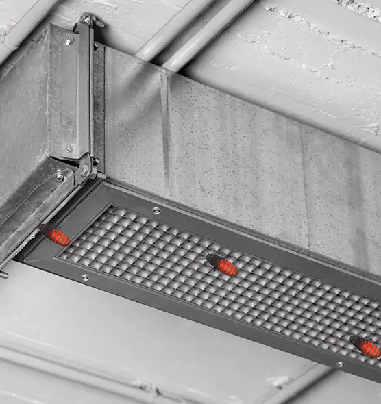 Affordable Insect Removal from Air Ducts in Balch Springs, TX