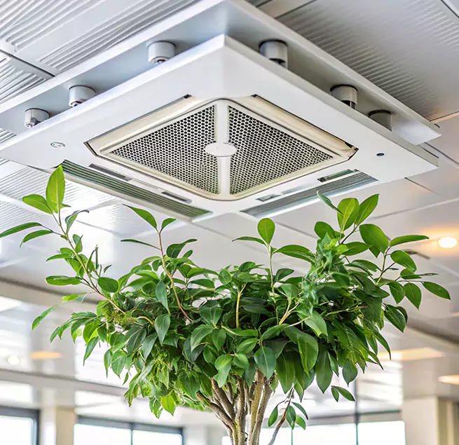 Why Homeowners & Businesses Trust Us in Balch Springs, TX