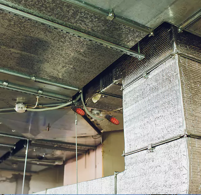 Why Homeowners & Businesses Trust Us Balch Springs, TX?